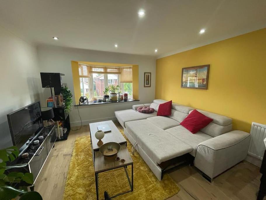 Double -the Stylish Yellow Flat