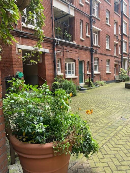 Apartamento Central Chic Oasis ~ King's Cross