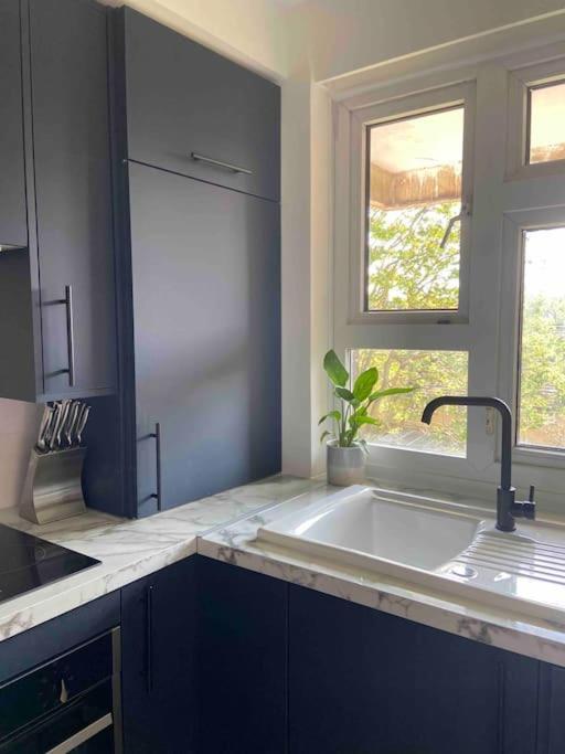 An Oasis In The Heart Of Hackney Appartement Londen