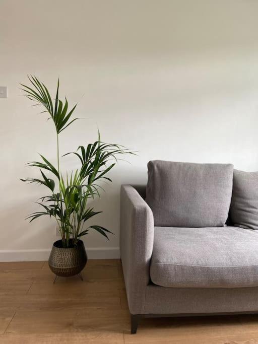 Appartement An Oasis In The Heart Of Hackney Londen