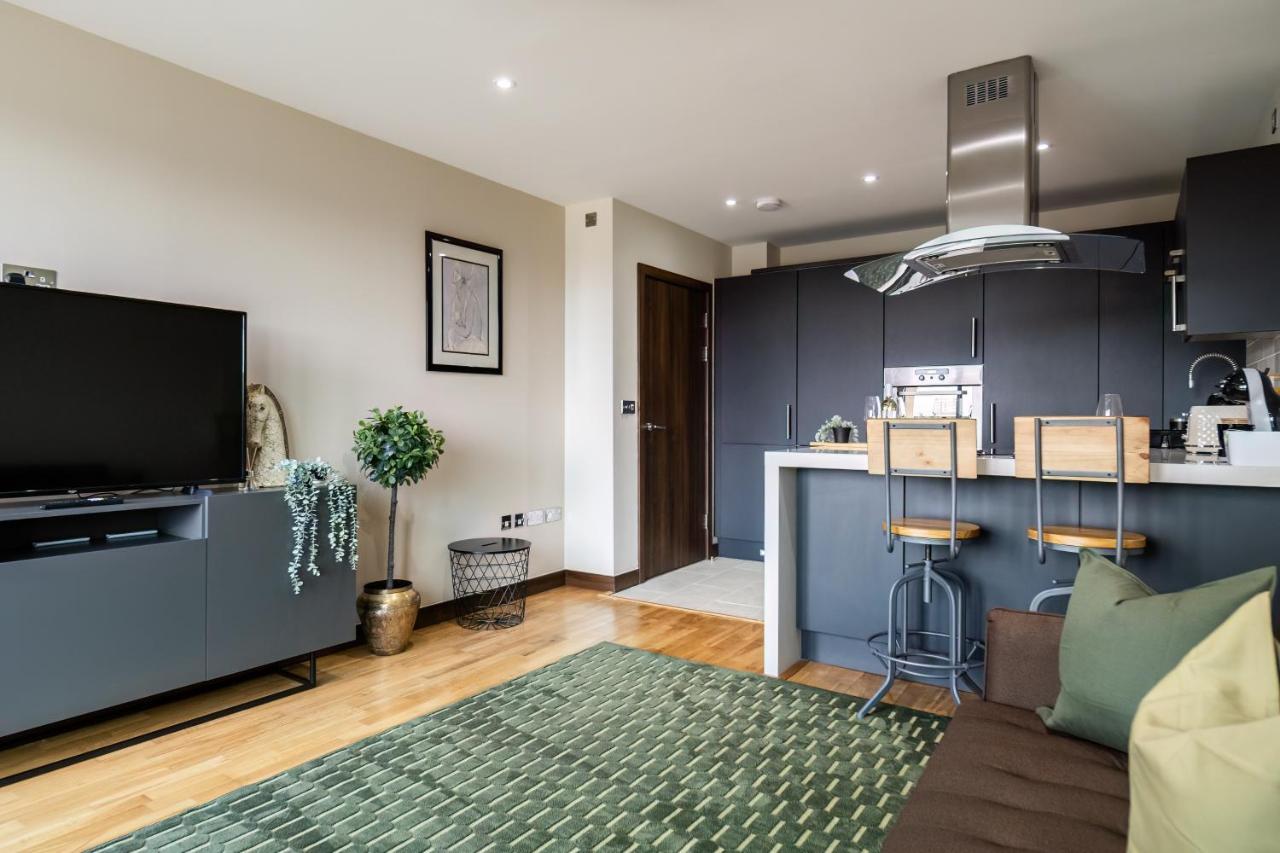 Livestay-stunning With Private Balcony & River Views Leilighet London