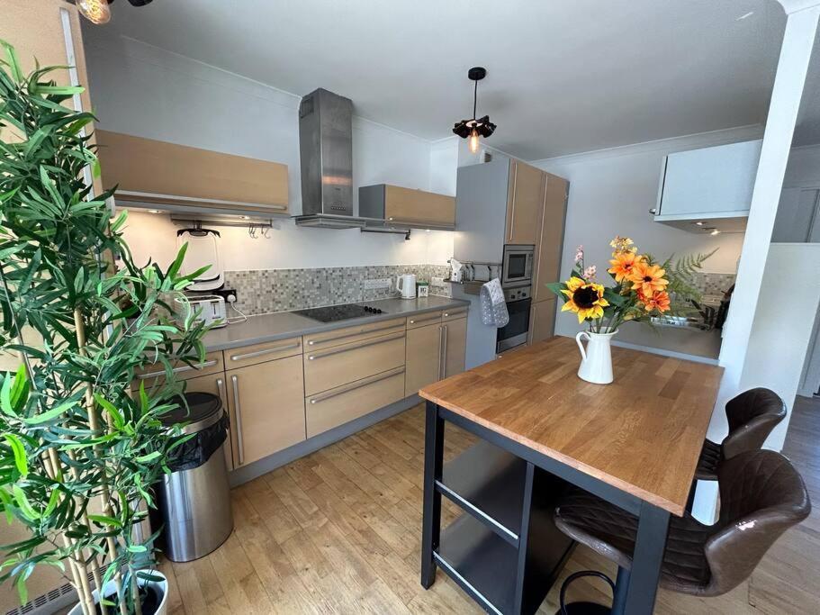 Homely & Thames View Appartement *