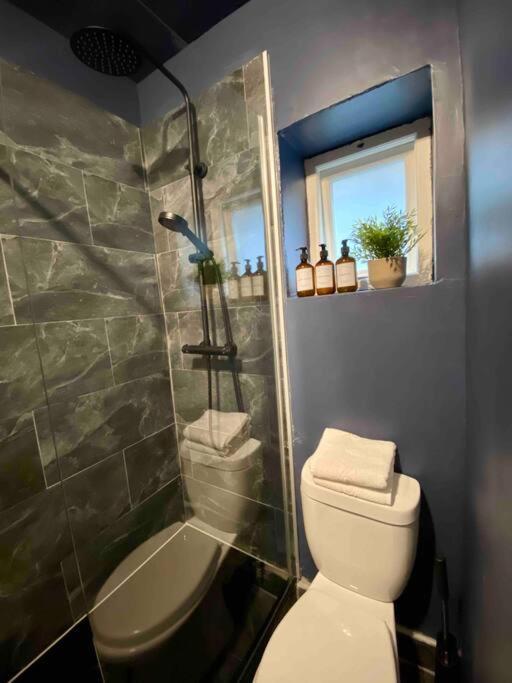 Appartement Stylish For 3 Near Regents Park N4 Londen