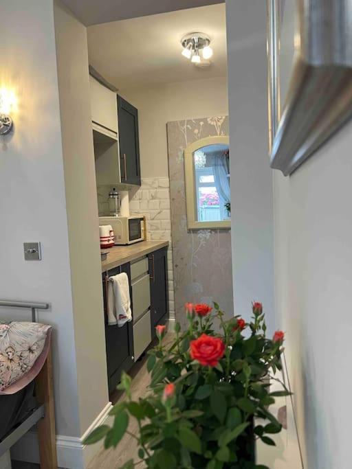 Cozy+elegant Studio@ West Leilighet