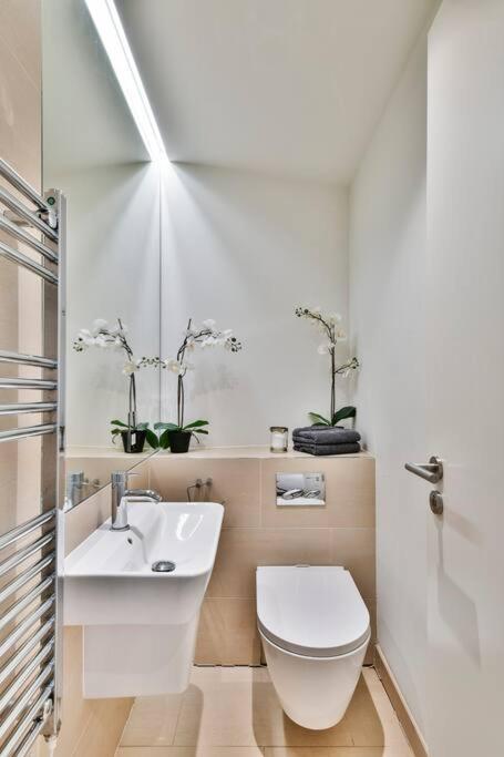Knightsbridge/chelsea Penthouse Leilighet