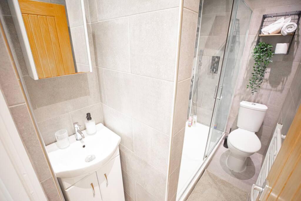 Hammersmith Apollo 1 Bedroom Appartement Londen