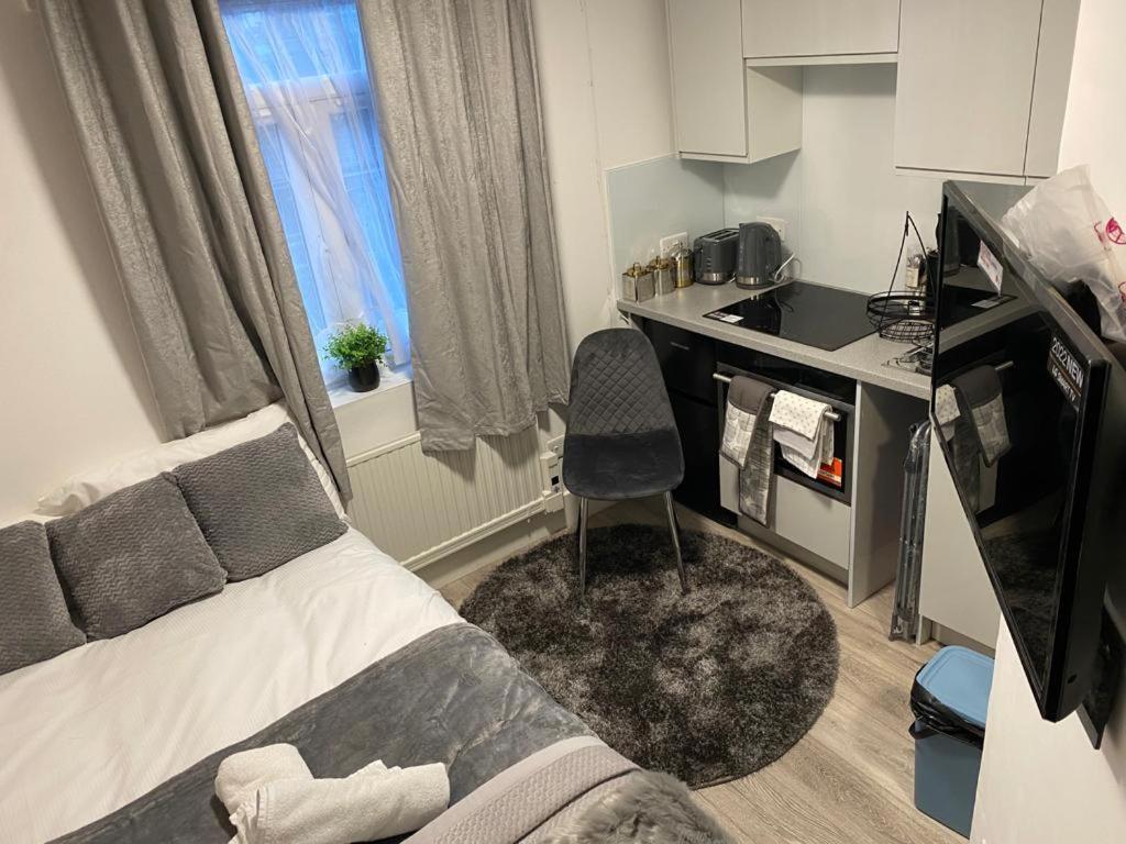 Small But Cozy Studio, Great Tube Connection Leilighet London