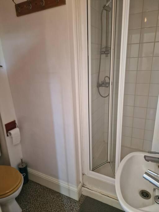 Bright Well Located Flat Apartment London