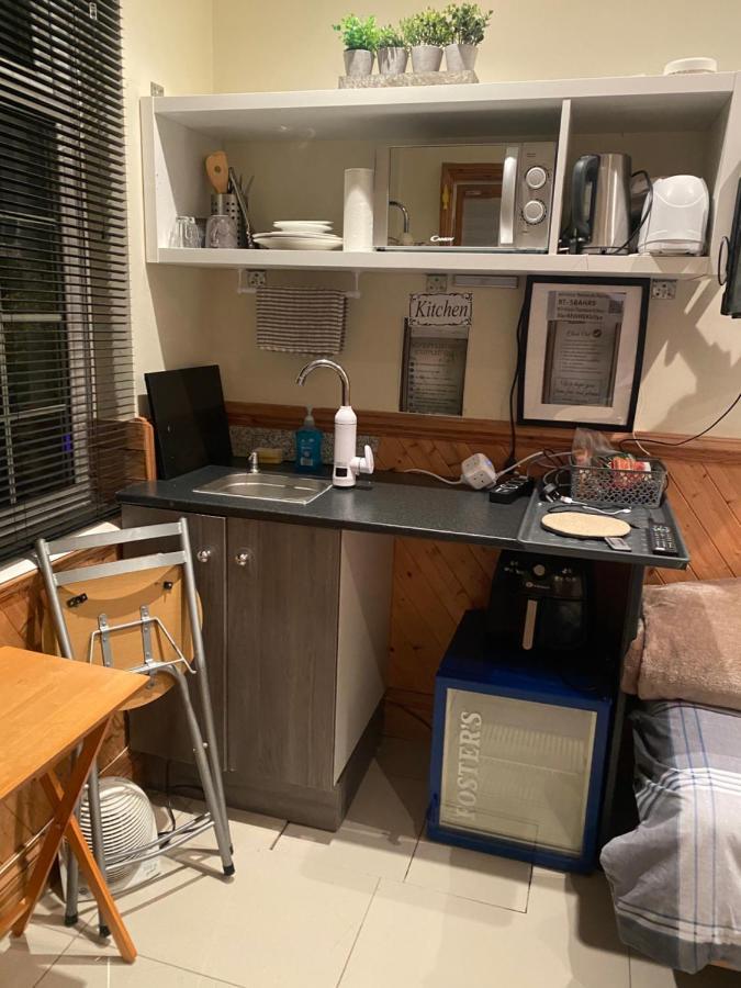 Bed and breakfast Big In London, Forest Hill Londres