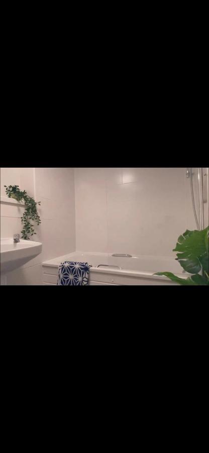 Hostel Lovely Bright With Shared Facilities