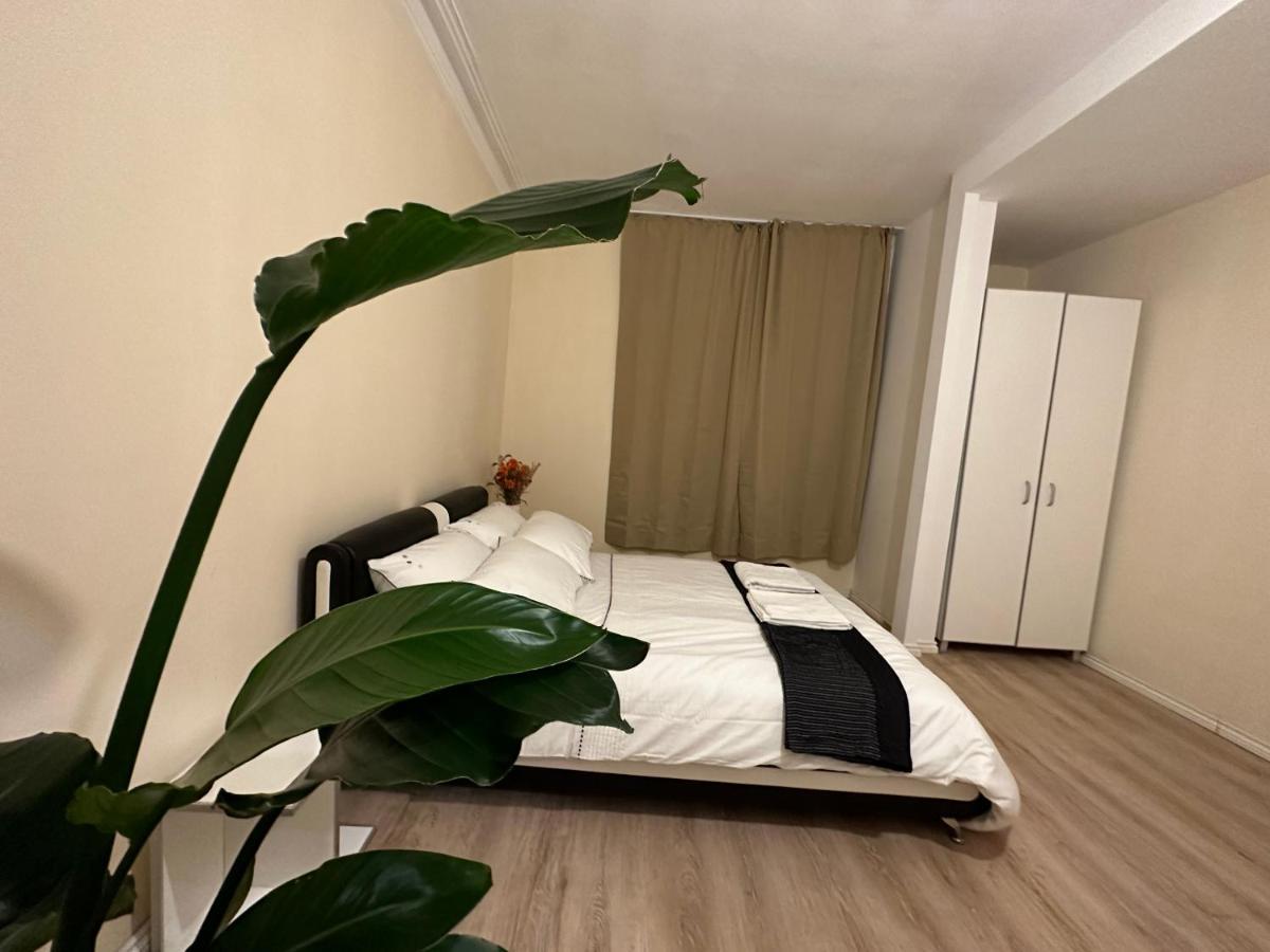 North A Spacious 7 Bedroom House Accommodating Up To 18 People Complete With Own Gym And Table Tennis London