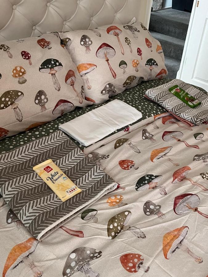 Bed & Breakfast From Cosy Londen