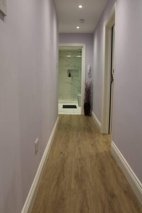 Lavish Near Wembley Stadium Appartement Londen