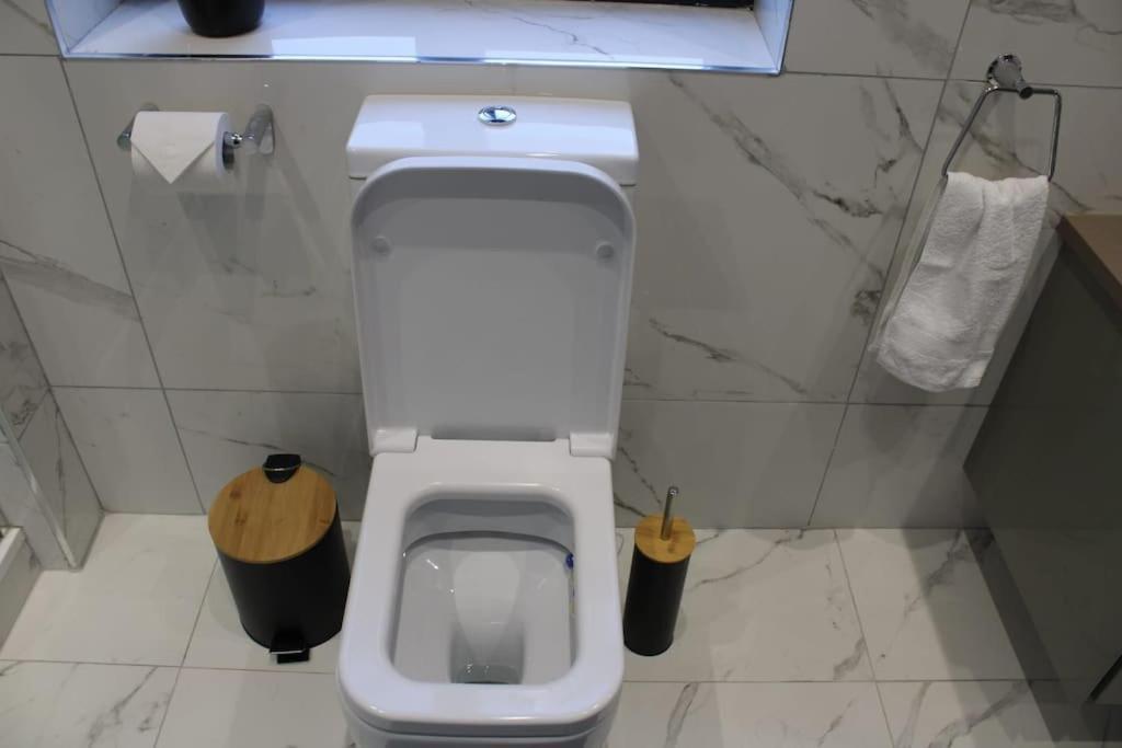 Lavish Near Wembley Stadium Appartement Londen