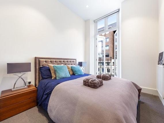 Harley Street Luxury Snug Apartment London