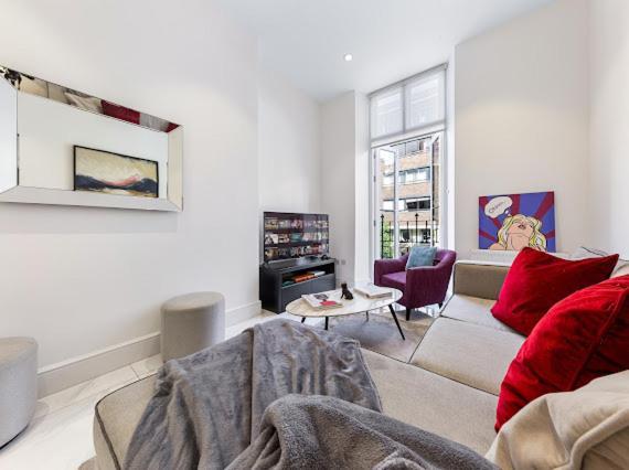 Harley Street Luxury Snug Apartment