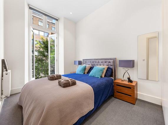 Harley Street Luxury Snug Apartment
