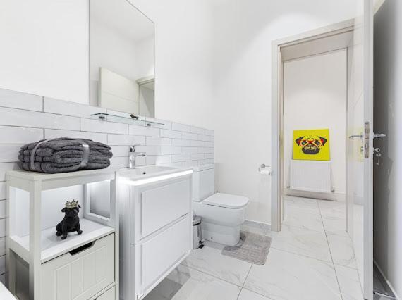 Harley Street Luxury Snug Apartment *