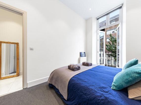 Apartment Harley Street Luxury Snug London