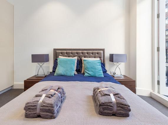 Harley Street Luxury Snug Apartment *