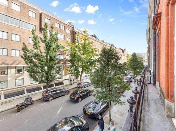 Harley Street Luxury Snug Apartment *