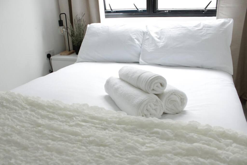 2 Bedroom Modern And Stylish Apartment London