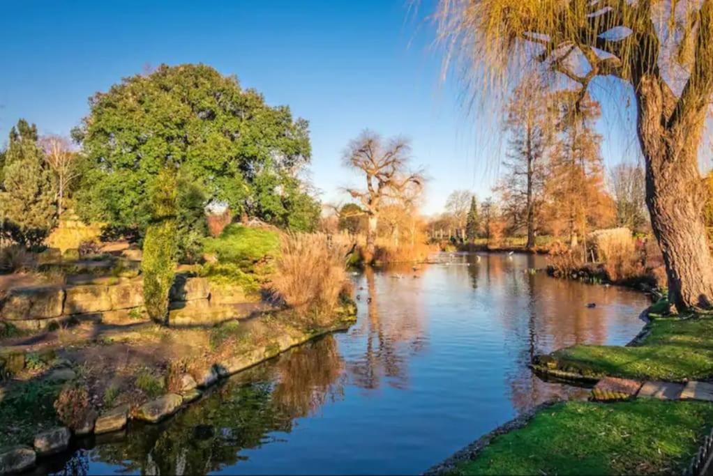 Apartment Comfy 1br Flat V Close To Euston And Regent's Park London