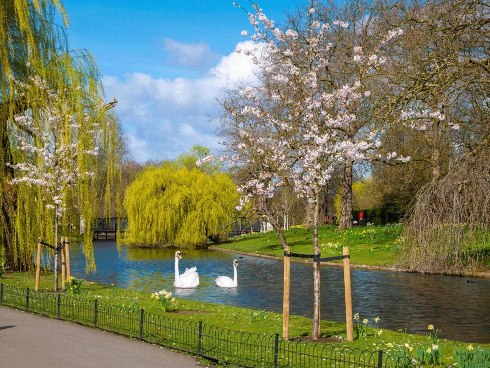 2bed Mew In Marylebone London