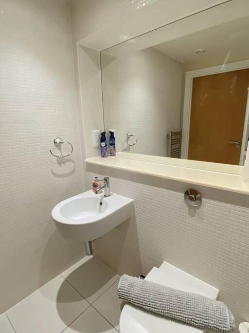 1 Bed 1 Bath Modern Zone 2 Appartement