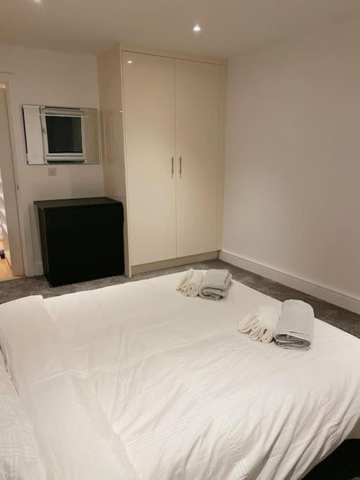 Apartment 1 Bed 1 Bath Modern Zone 2
