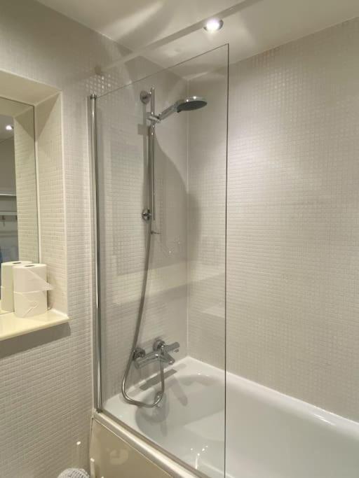 1 Bed 1 Bath Modern Zone 2