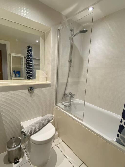 1 Bed 1 Bath Modern Zone 2 * London