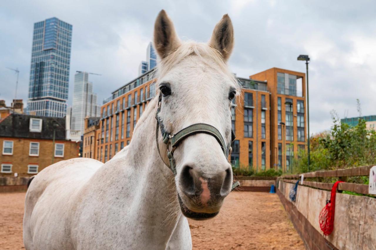 Apartment Farm View 2-bedroom Apartment, Vauxhall London