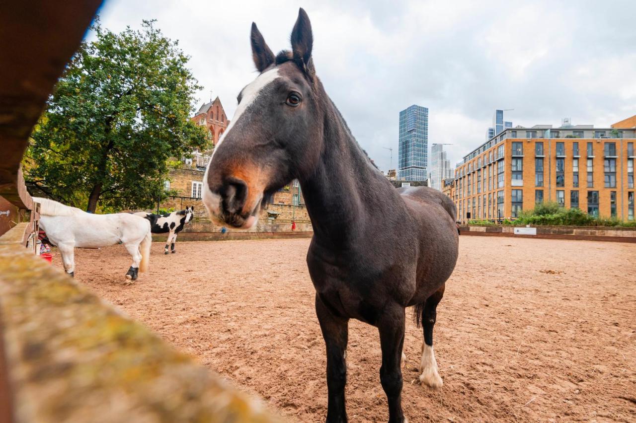 Farm View 2-bedroom Apartment, Vauxhall