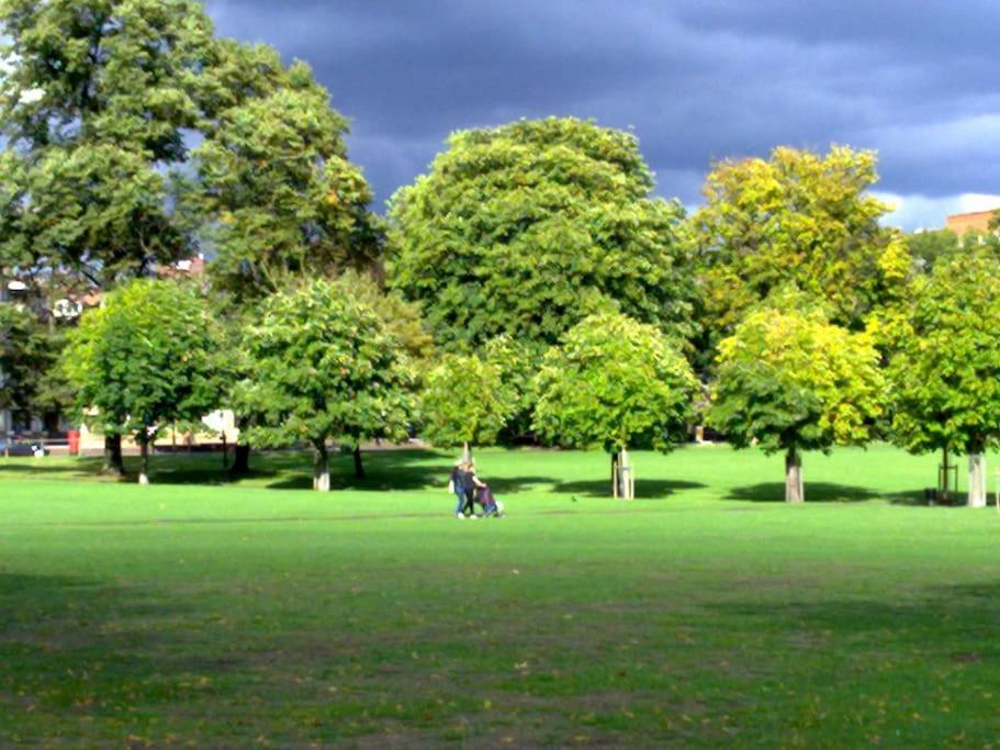 Apartment Beautiful 2br Flat, Peaceful Dulwich, South London