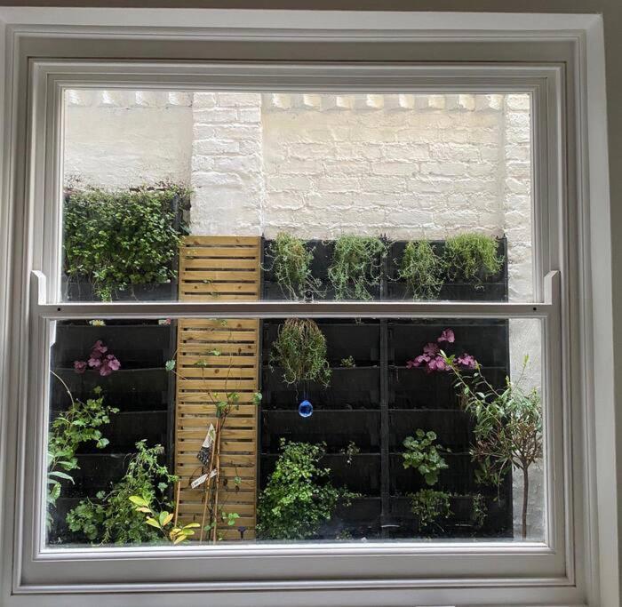 Leilighet Kensington With 2 Bedrooms 1 Living And Patio London