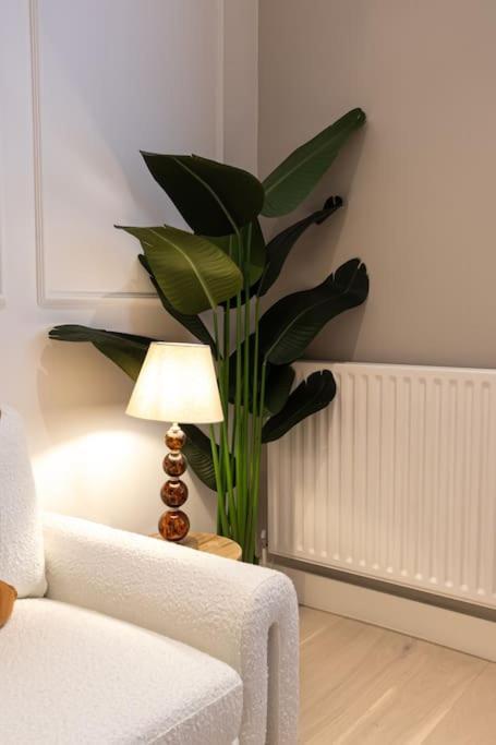 Elegance: A Symphony Of High-end Decor London