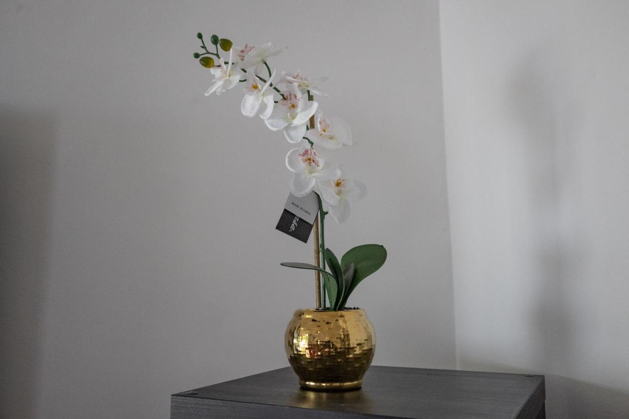 London - 4 Bed - Sleeps 8 - Garden - Pet Friendly Vakantiehuis Londen