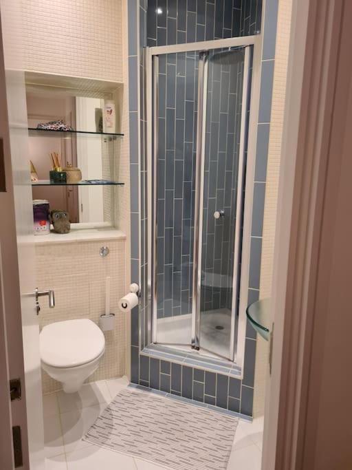 Whole Flat, Centrally Located, Light & Airy Apartment London