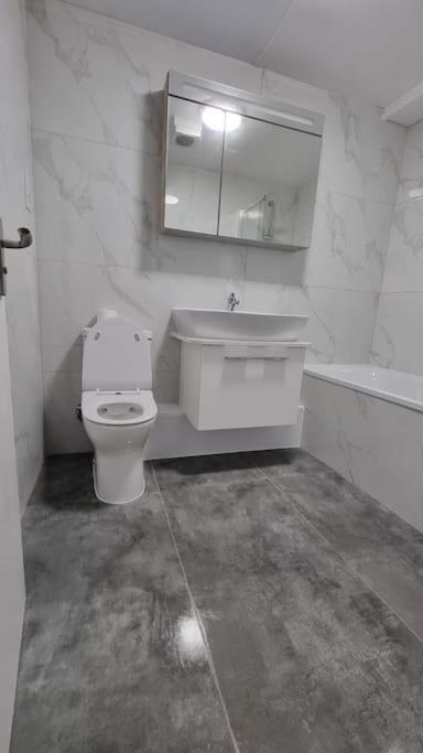 Brand New Flat Close To Turnpike Lane Tube Station Apartment
