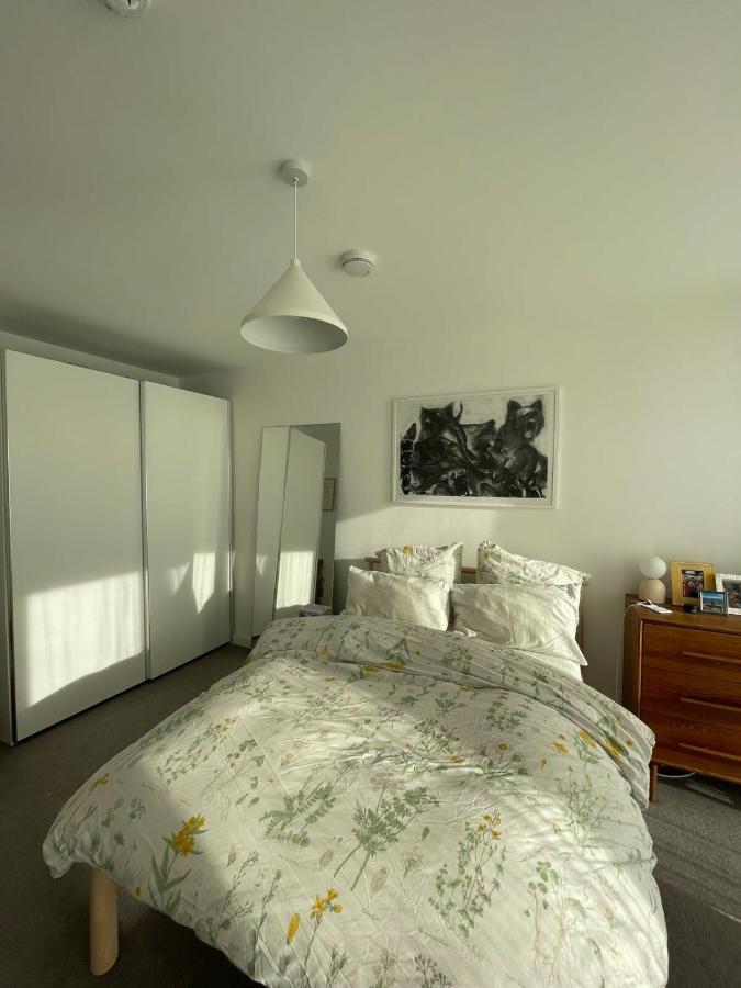 Bright 1bd Flat Wbalcony - Heart Of Brixton!