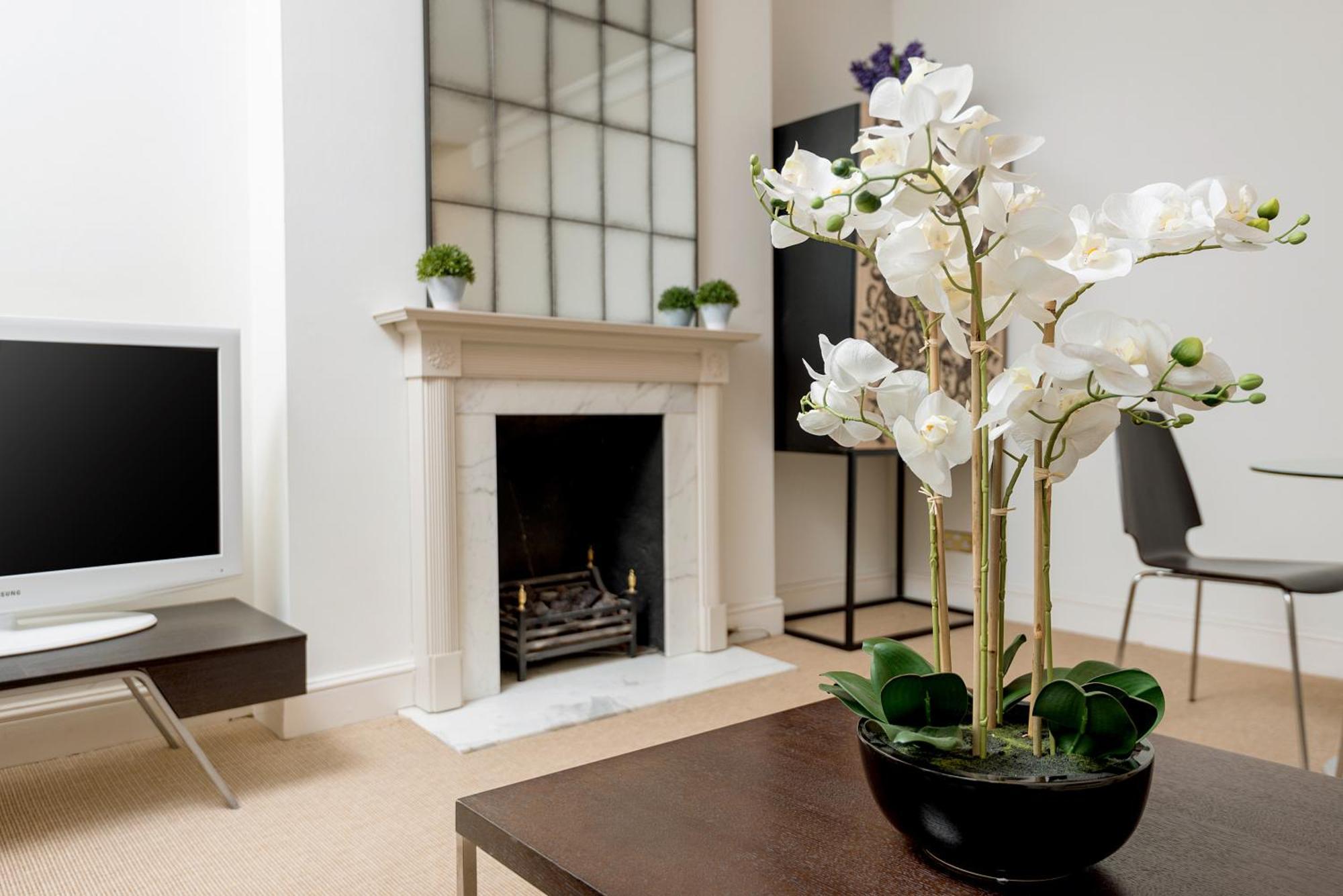 Spacious, Calm One Bedroom Appartement *