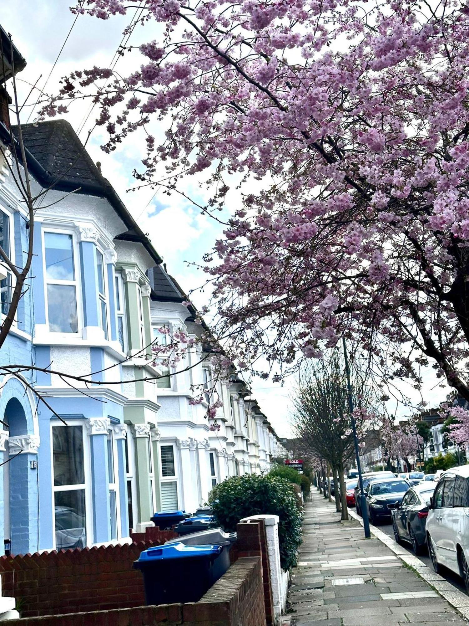 Charming, Renovated In Willesden Feriehus