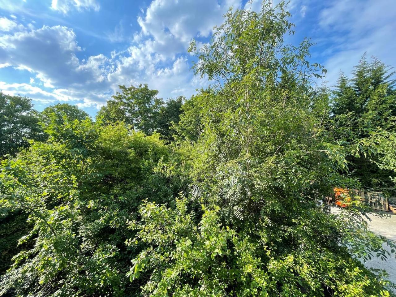 Apartamento Hampstead 4-bedrooms
