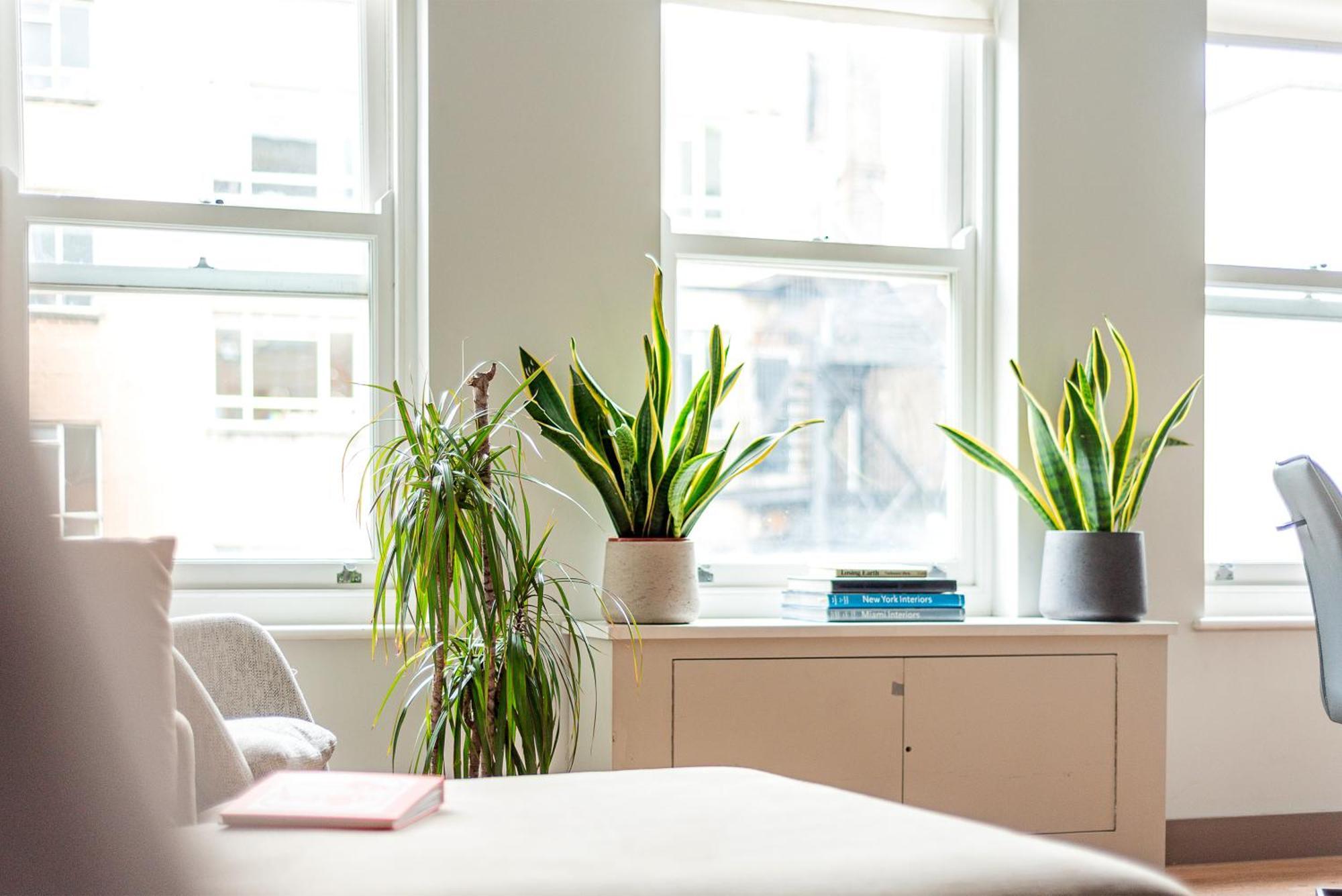 Arcore Premium Apartments: Mayfair * Londres