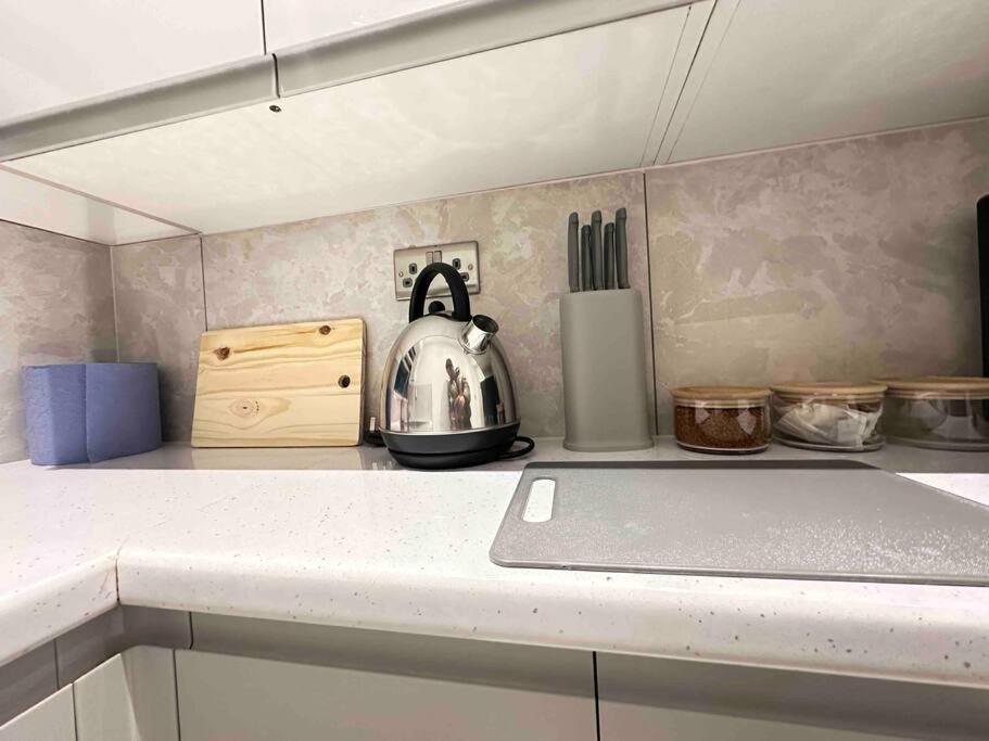 Apartment Spacious 1br Flat With Private Bath And Kitchen In Canary Wharf 2 London