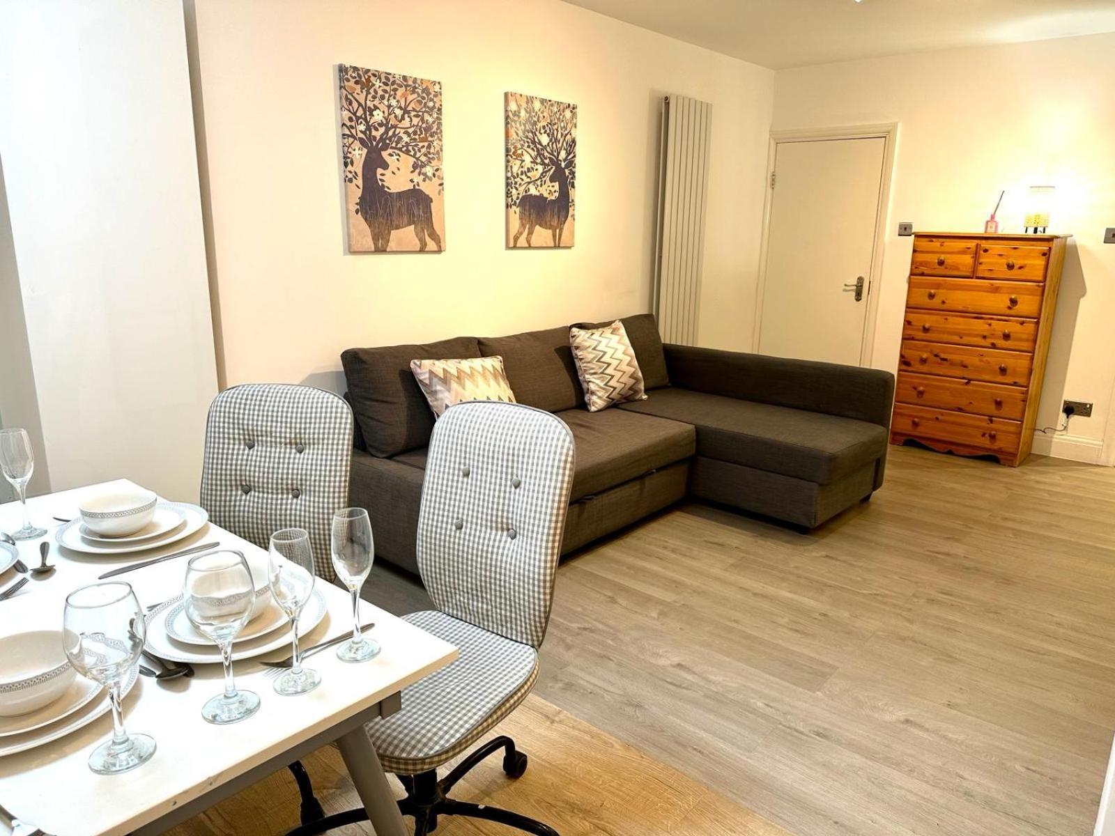 Spacious 1br Flat With Private Bath And Kitchen In Canary Wharf 2 Apartment
