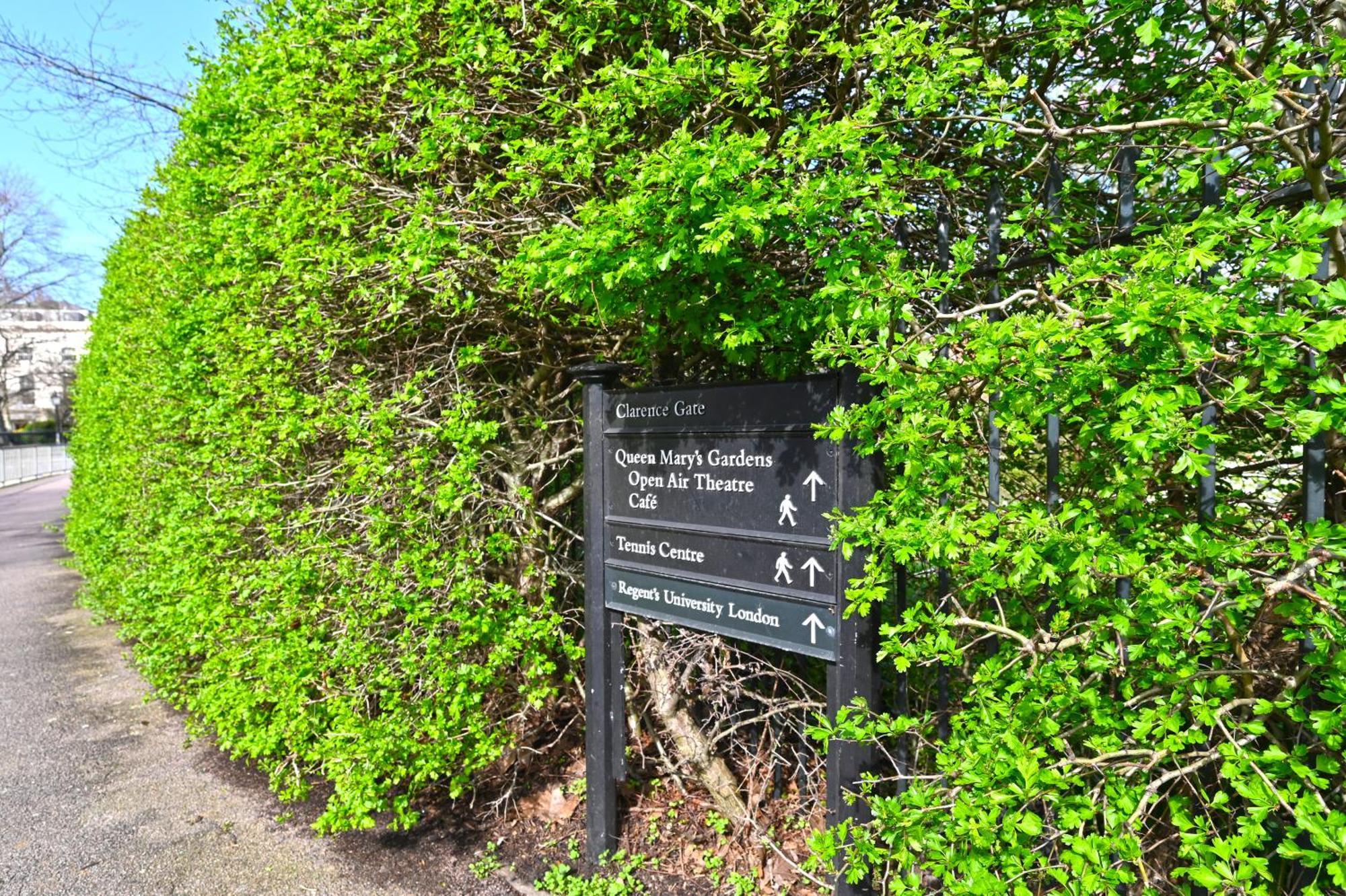 Appartement Choice - Baker Street- Regent's Park *