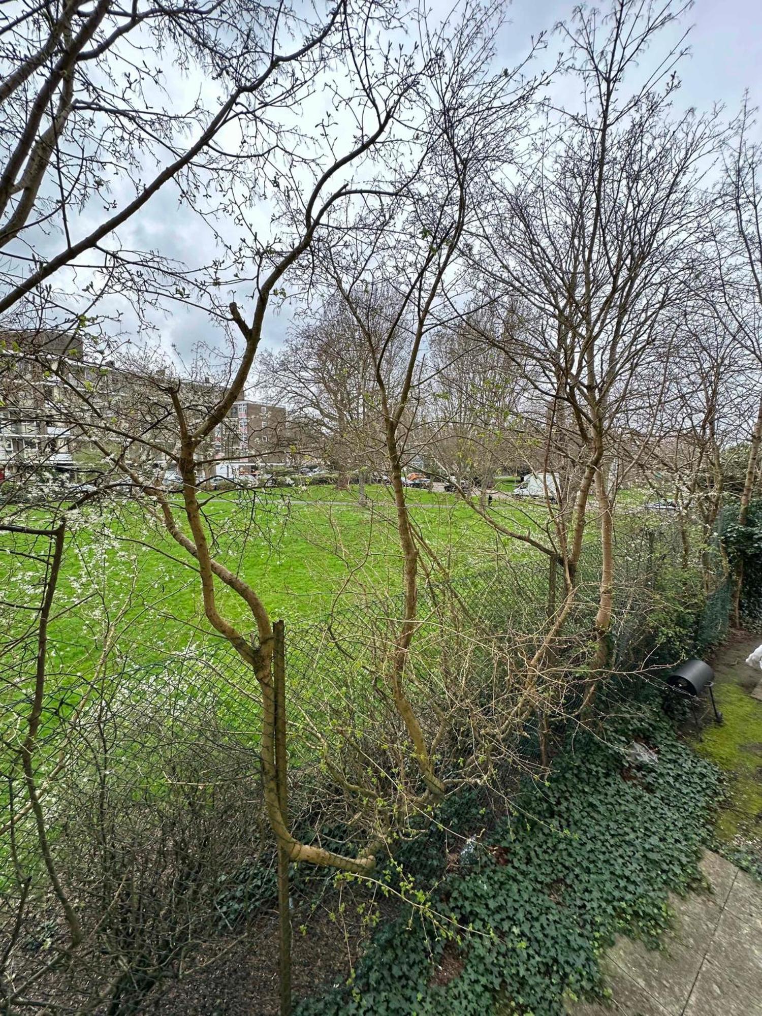 Spacious Quiet Stylish Entire Flat Apartment *