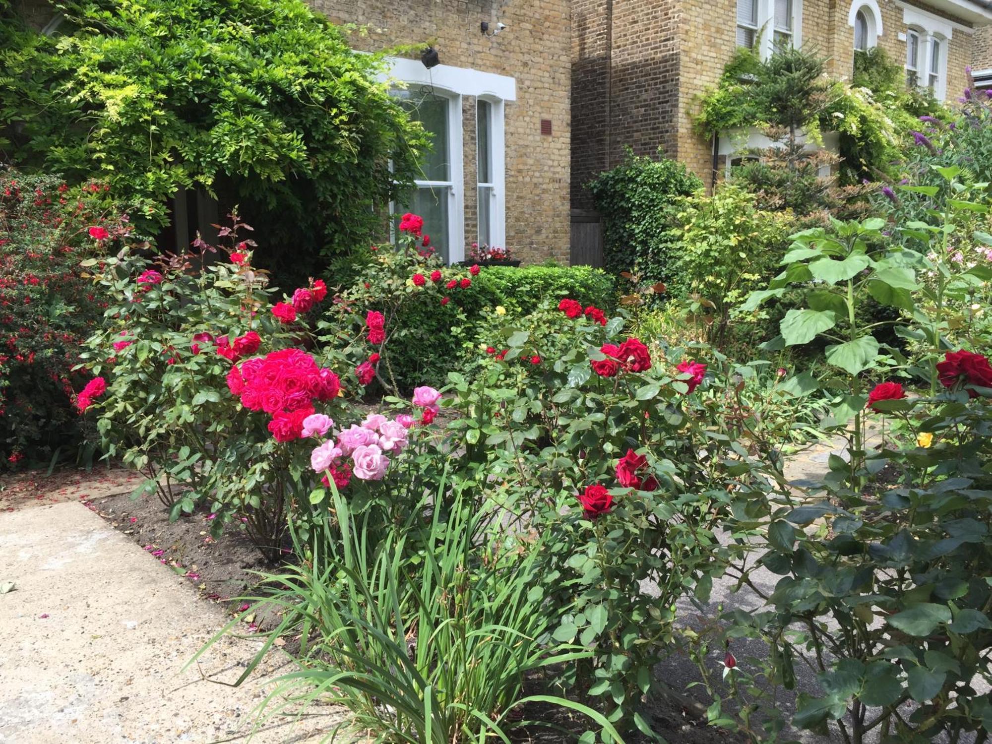 Guest house St. James's London